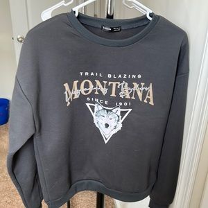 Gray wolf crew neck warm